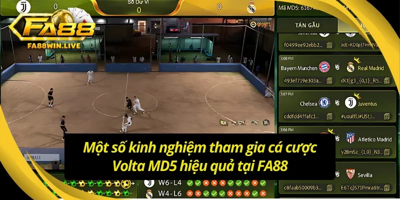 Bật mí kinh nghiệm chinh phục Volta MD5 hiệu quả 